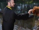 dsc