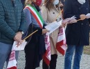 fb img